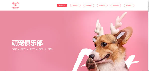 宠物店网站模板T10310.jpg