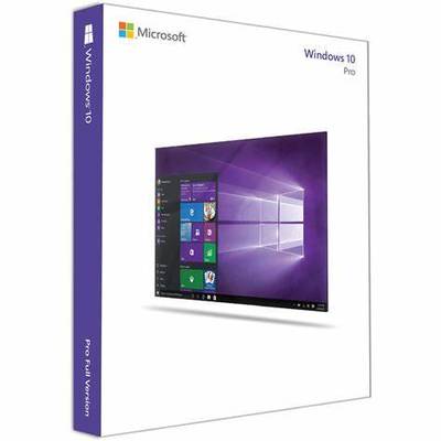Windows 10專業(yè)版 軟硬件協(xié)同與網(wǎng)絡技術(shù)開發(fā)深度解析