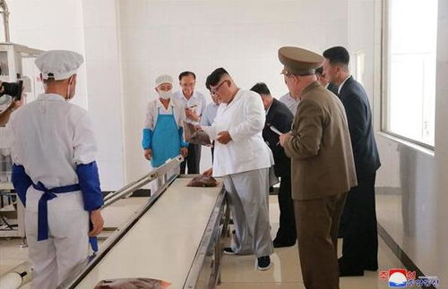 金正恩視察朝軍方食品加工廠納豆生產線，稱贊其健康價值